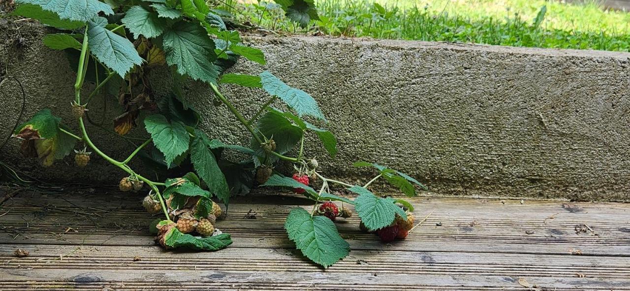 Le Coin Nature アムネヴィル エクステリア 写真